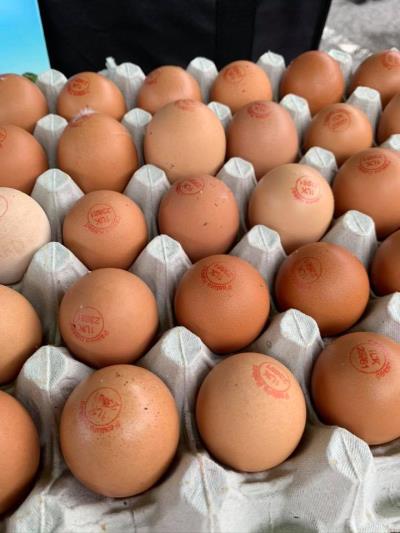Primal Grazing Eggs