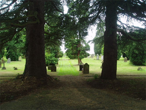 View of cemetery through trees